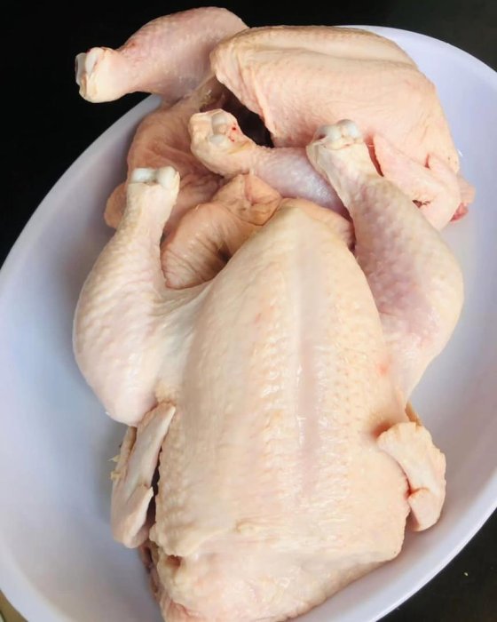 Earth Animal Herbal Remedies